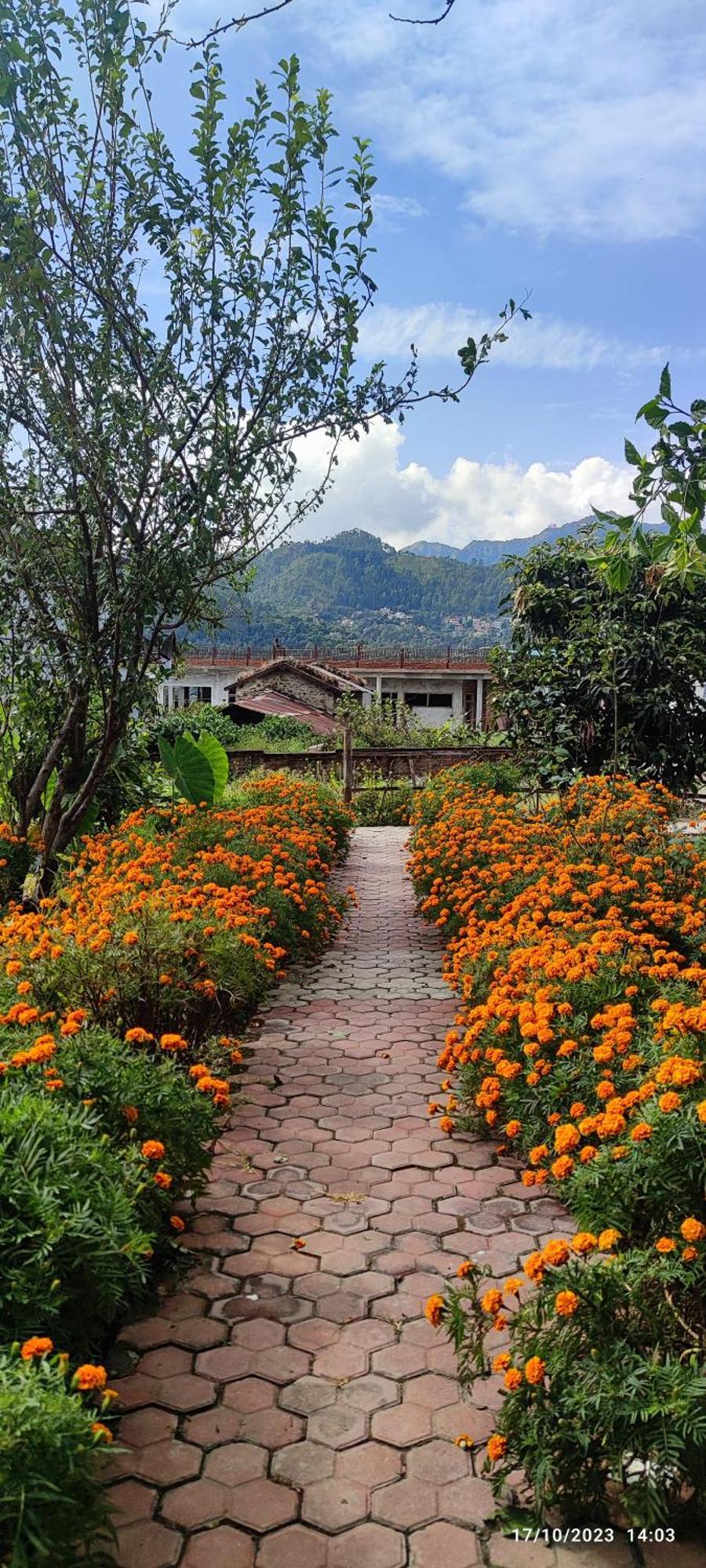 Host Labs - Premium View Homestay Bhimtal